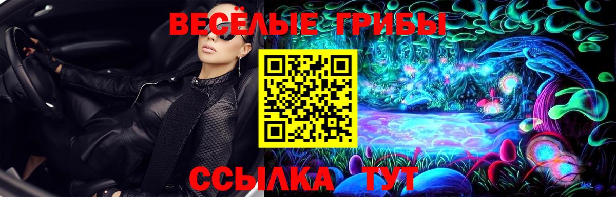 Галлюциногенные грибы Psilocybine cubensis Семёнов